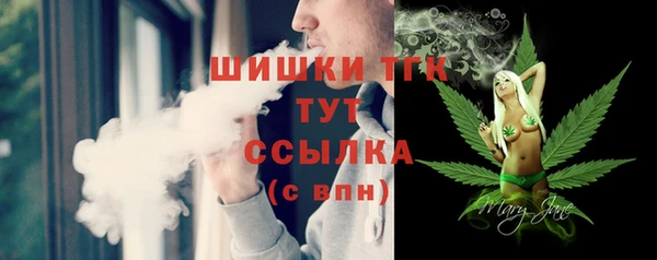 таблы Богородицк