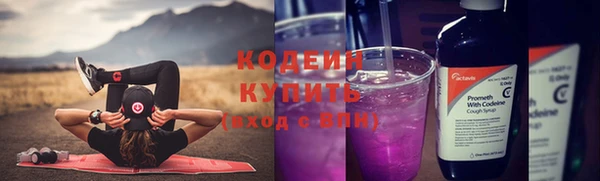 сатива Богданович