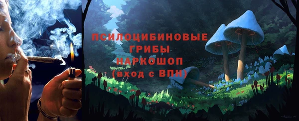 таблы Богородицк