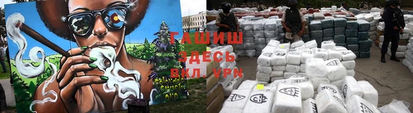 сатива Богданович